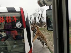 -西安秦岭野生动物园