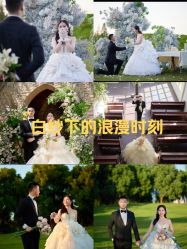 点击看大图 -桔子摄影