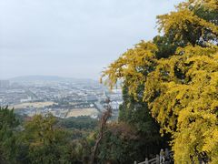 -灵岩山风景区