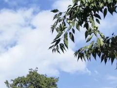 -颐和园