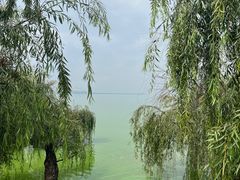 -捞渔河湿地公园