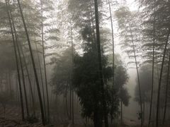-仙霞关景区