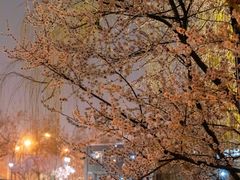 -安定门(地铁站)