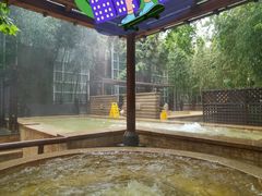 -春晖园度假酒店温泉