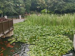 -大连植物园