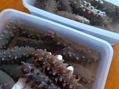 -宫品海参专卖店(静安大宁店)