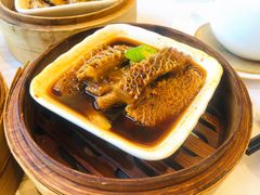 瑶柱金钱肚-潮福城大酒楼(北尚店)