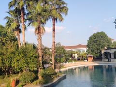 -上海东方佘山翰悦阁酒店·Vie全日制餐厅