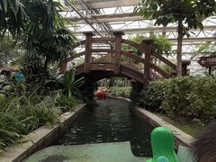 -南宫五洲植物乐园