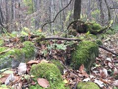 -青峰峡国家森林公园