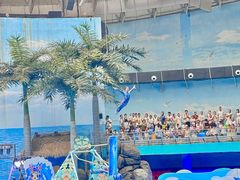 -海合安成都极地海洋公园