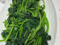 清炒苕尖-匠熙小馆(崇文门店)