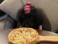 -百好乐宠物友好餐厅(朝外大街店)