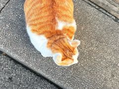 -永和鱼丸(南后街店)