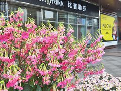-苏宁广场·城市奥特莱斯(天府立交店)