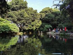 -成都市活水公园