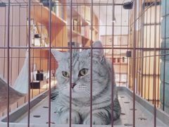-金谷里艺术馆
