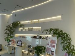 -紫琪尔·匠心连锁·胸部护理养护