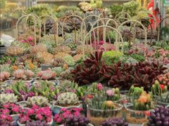 -松江大学城体育馆滑冰馆