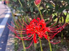 -南京金牛湖风景区