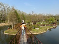 -合肥滨湖国家森林公园