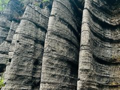 -梭布垭石林景区