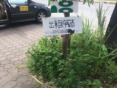 -王权免税店(普吉机场店)