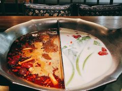 胡椒猪肚鸡鸳鸯锅-湊湊火锅·茶憩(东城万达店)