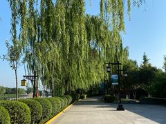 -西安汉城湖景区