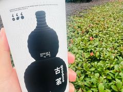 云岭茉莉白-古茗(华业街店)