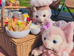 -上海山野camping·户外天幕烧烤·团建拓展营地
