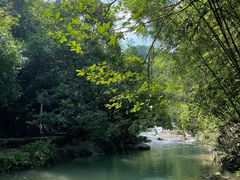 -广州白江湖森林公园