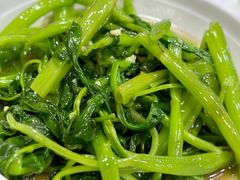 -广达眼镜炖罐(广达店)