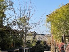 -黄陂区野村谷景区
