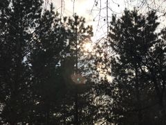 -秦始皇帝陵博物院-丽山园