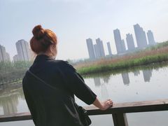 -前关湿地公园