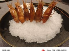 -桂满陇·海市蜃楼·黑金(国金店)