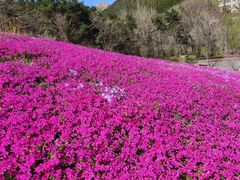 -昆嵛山石门里景区