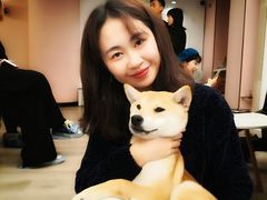 -浣熊柯尔鸭土拨鼠·电玩咖