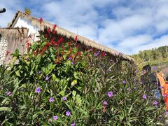 -优游吧斯邹族文化部落