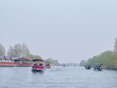 -白洋淀景区