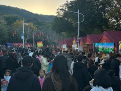 -风云岭森林公园
