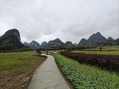 -靖西鹅泉风景区