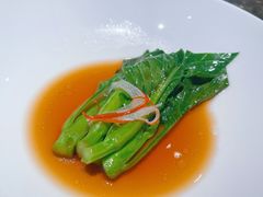 -觀芷隐轩
