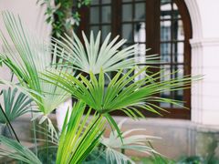 -湖北省美术院美术馆