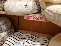 -台场海滨公园船码头