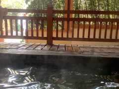 -仁爱团泊湖温泉中心