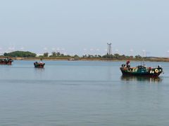 -大湾区中央湿地公园-十九涌