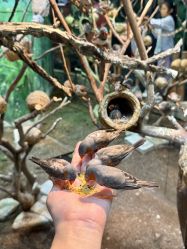 -Zoolung Zoolung动物主题公园(海信广场店)