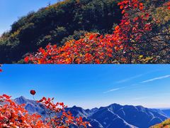 -沉浸北京·团建旅行·密室剧本杀·年会会议轰趴拓展